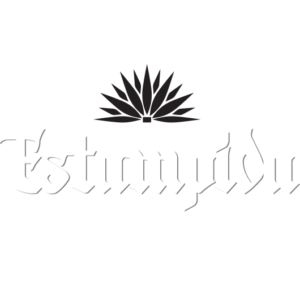 Estampida logo